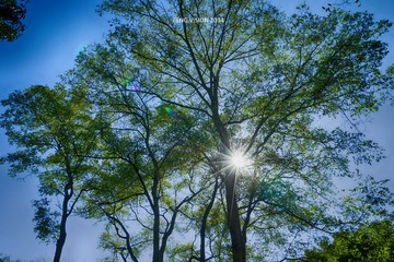 DSC00107_
