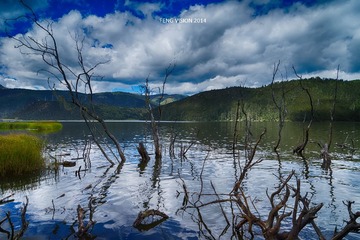 DSC00233_