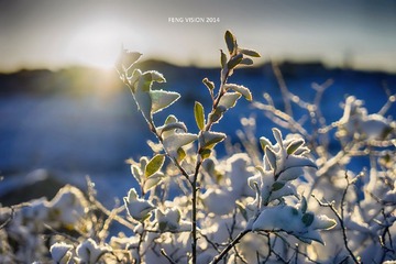 DSC00298_