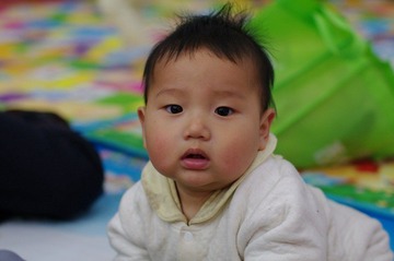 IMGP5001 (1280x850).jpg