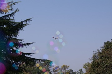 IMGP5824.JPG