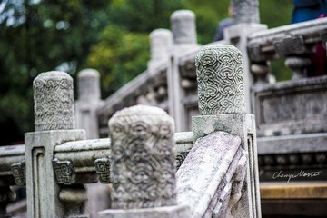 DSC_8092_s.jpg