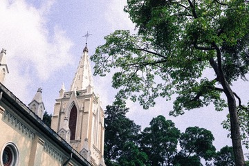 DSC00850-20150501