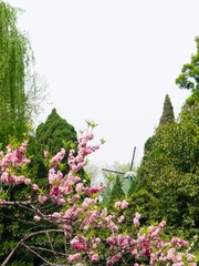 20140406-P1050691