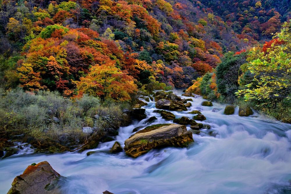 《秋山流水》