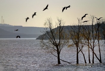 DSC_5574AC_ACP2_