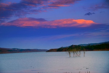 DSC_0630_ACP__