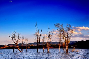 DSC_0677ACp__