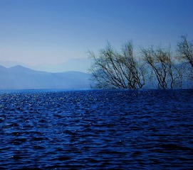 DSC_0737m2mk_