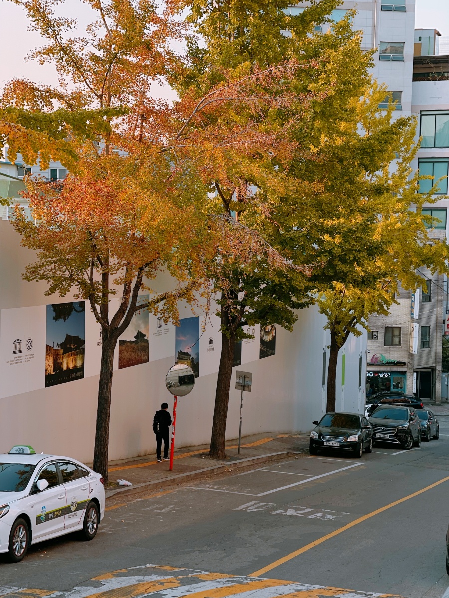 苹果12promac手机拍摄