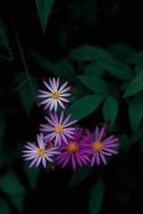 C8740811-1550-4BFA-9E29-BCCAE4C5CC7A/L0/001