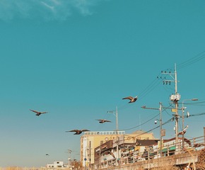 0770018D-FBBE-4256-AA3A-6D6EFBD76099/L0/001