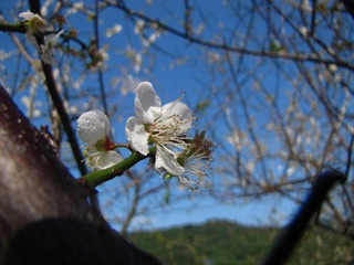 042