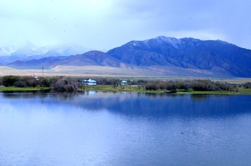 DSC_3455-001