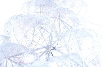 DSC_1668做了一个梦，一个很白的世界，螺旋着没有尽头，像极了蜗牛壳