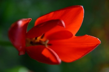 ZXL_9561