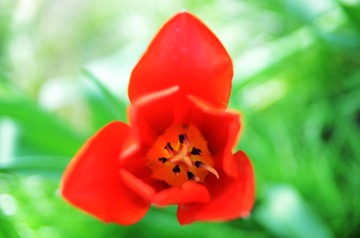 ZXL_9454
