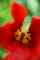 ZXL_9461