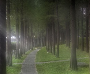 DSCF0864-编辑