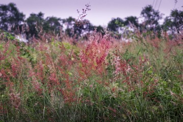 DSCF1102-编辑