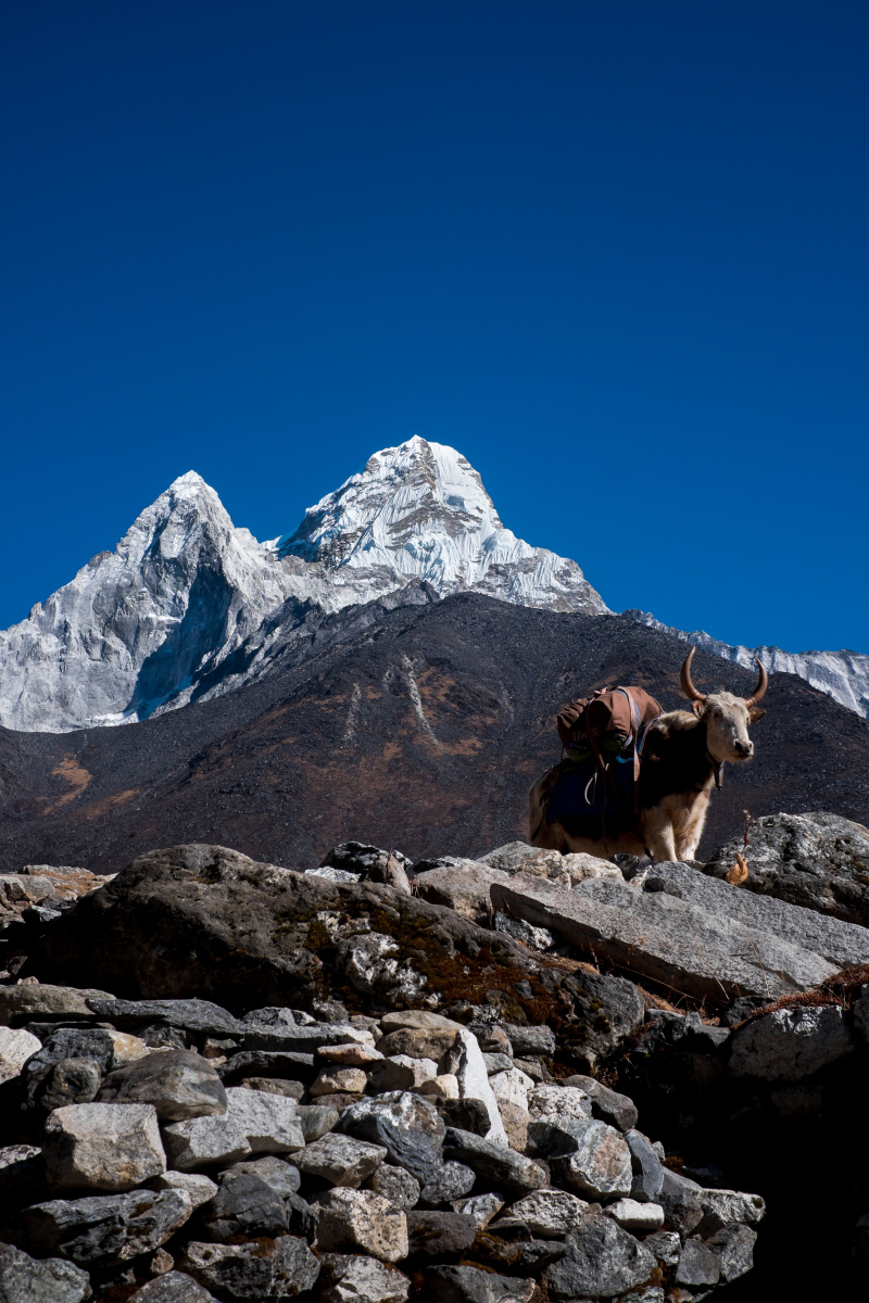 阿玛达布朗amadablam