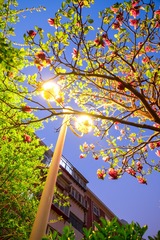 20150408-DSCF5716