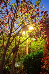 20150408-DSCF5717