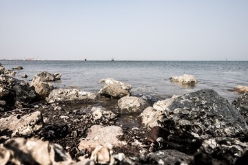 20150425-DSCF6038