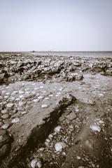 20150425-DSCF6065