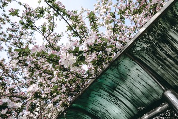 20150406-DSCF5649