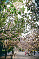 20150406-DSCF5684