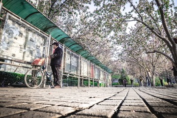 20150406-DSCF5698