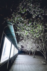 20150408-DSCF5732
