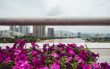 20140722-DSCF5953