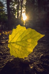 20151027-DSCF4243