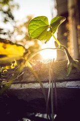 20151027-DSCF4255