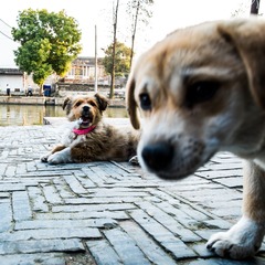 20140315-DSCF0604