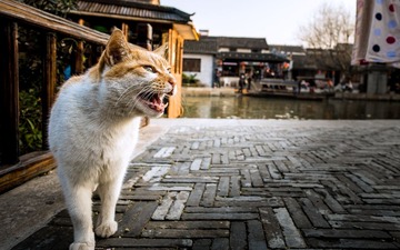 20140315-DSCF0637