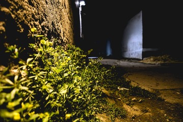 20140315-DSCF0762