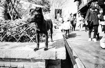 20140316-DSCF0877