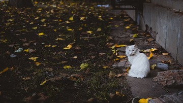 20141026-DSCF0847