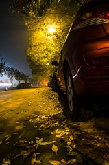 20141025-DSCF9866