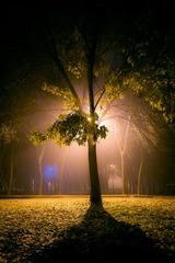 20141025-DSCF9881