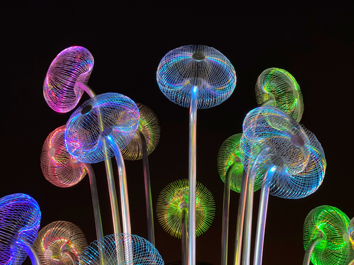 人造水母亮闪闪