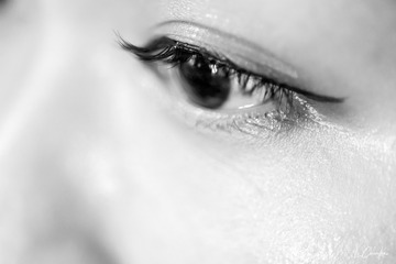 B5F30966-95EF-4AC4-9C01-DCE41468B96D/L0/001