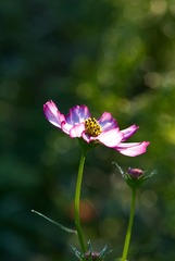 _DSC0402 1