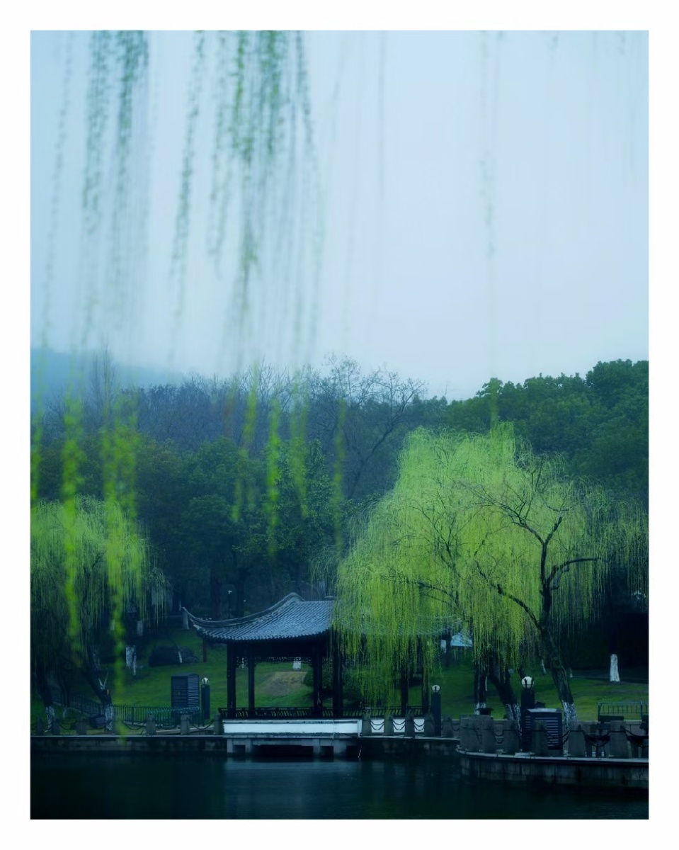 烟雨江南客舍青青柳色新劝君更尽一杯酒