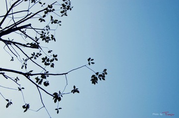 DSC_0503.jpg