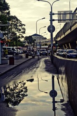 DSC_3984.jpg