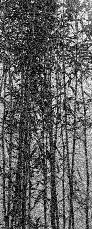 03<br />

